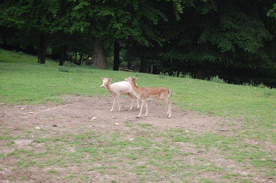 DSC_0100 [50%] [50%].JPG